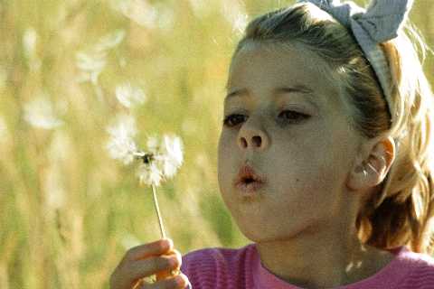 Allergy Allergy