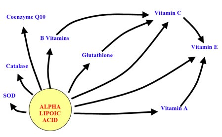 antioxidants.jpg