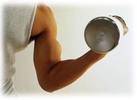 Building Muscles