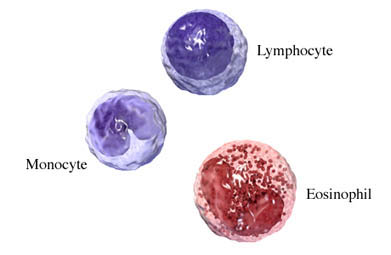 Cancerous cells