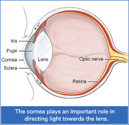 eye