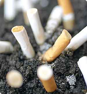 Tobacco