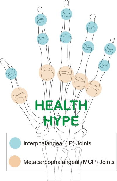 Finger Anatomy, Bones, Joints, Muscle Movements and Nerves | Healthhype.com