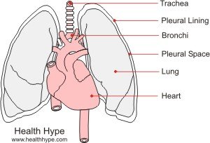 what causes fluid in lungs