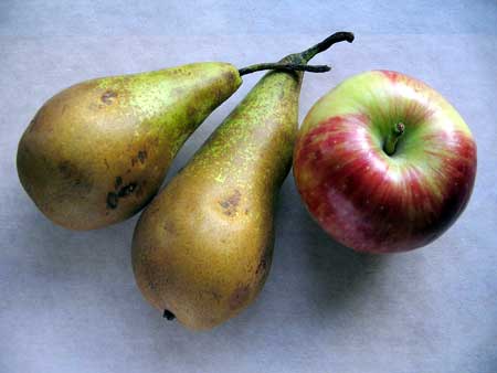 Apples and pears - High Fructose/Glucose Ratio