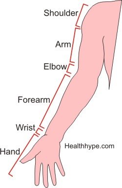  arm_hand_pain "width =" 250 "height =" 384 "srcset =" https: // www.healthhype.com/wp-content/uploads/arm_hand_pain.jpg 250w, http://www.healthhype.com/wp-content/uploads/arm_hand_pain-195x300.jpg 195w "tamaños =" (ancho máximo: 250px) 100vw, 250px "/> </div></noscript>
<p style=