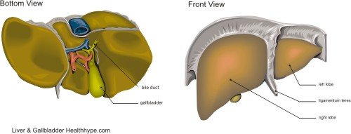 gallbladder_surgery