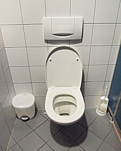 seat toilet